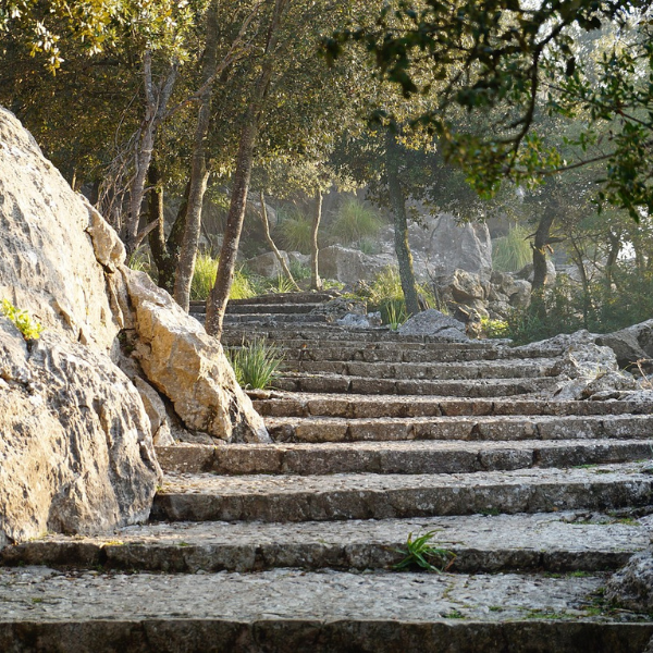 planes-en-familia-mallorca-con-niños-excursiones-naturaleza