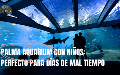 Palma Aquarium con niños: perfecto para días de mal tiempo
