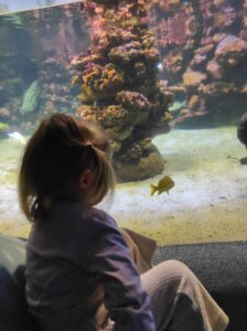 Palma-aquarium-con-niños